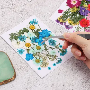 1 Paket Kurutulmuş Çiçekler DIY Reçine Kalıp Dolgu UV Epoksi Çiçek Tırnak Sanat için Preslenmiş Çiçekler Takı Dekor El Sanatları Yapımı
